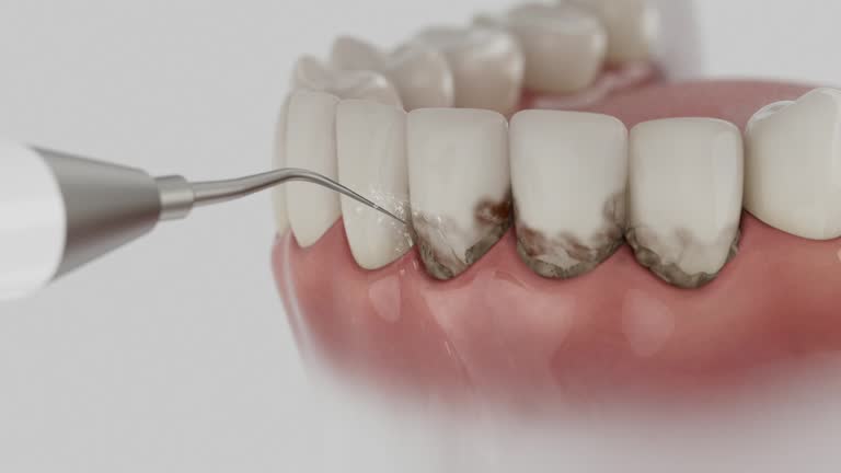 Reliable Dental contractor in Brodhead, KY by Dentist Open Now